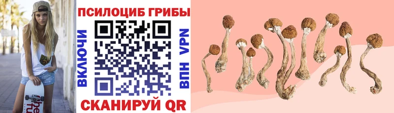 Галлюциногенные грибы GOLDEN TEACHER  Купить где  Нязепетровск 